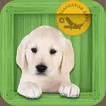 Animal Zoo - Flash Cards & Games App Alternatives