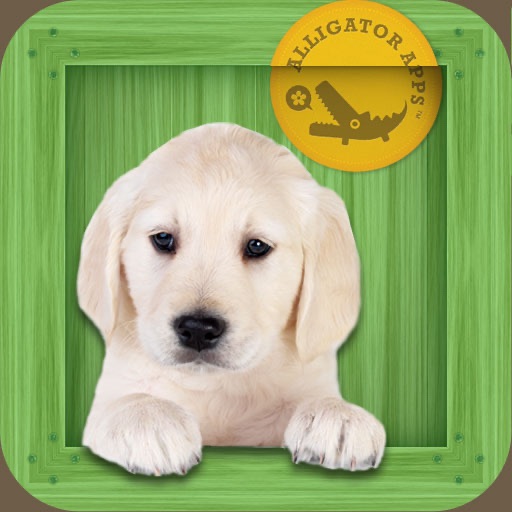 Animal Zoo - Flash Cards & Games icon