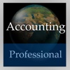 Accounting Handbook (Professional Edition)