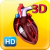 3D Human Heart Pro