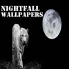 NightFall Wallpapers