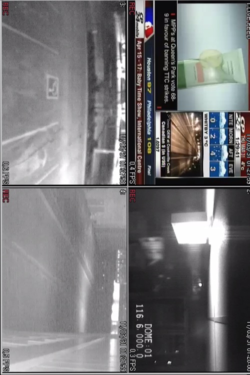 Bubo Bubo screenshot-3