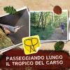 Paleopasseggiando lungo il tropico del Carso - Basovizza (Trieste), Italia