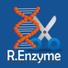 Restriction Enzyme Reference