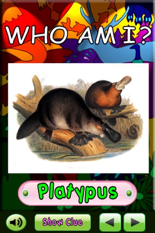 A Who Am I - Animal Game screenshot-4