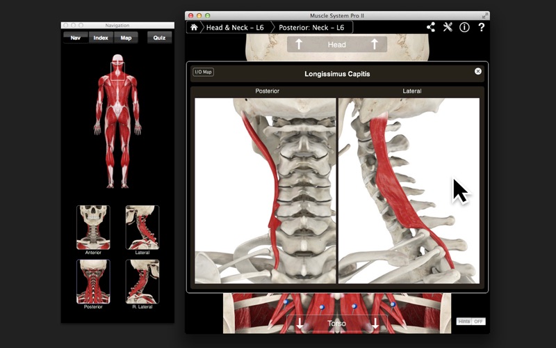 Muscle System Pro III Screenshot