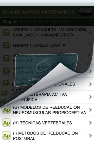 Guia de Actos Fisioterapicos ICPFA screenshot 2