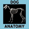 Bryan Edwards Dog Anatomy Flash Cards