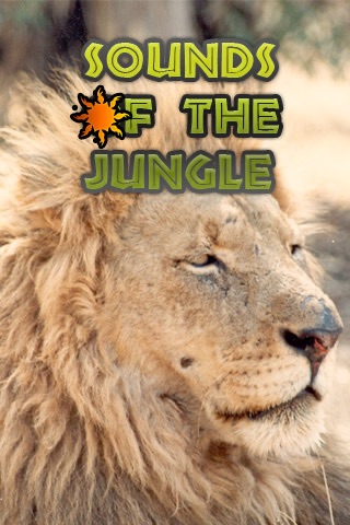 Sounds of the Jungle