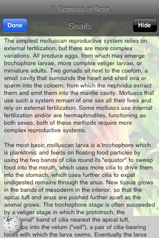 Animal Reproduction screenshot 4