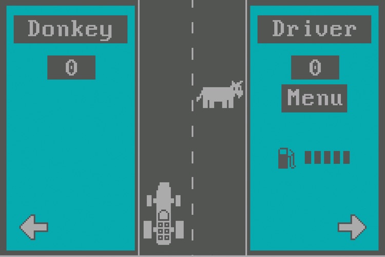 Donkey Racing