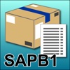 SAP B1 Inventory item information