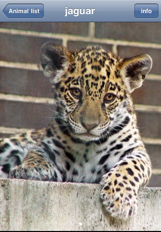 Baby Animals - An Encyclopedia Game screenshot-3