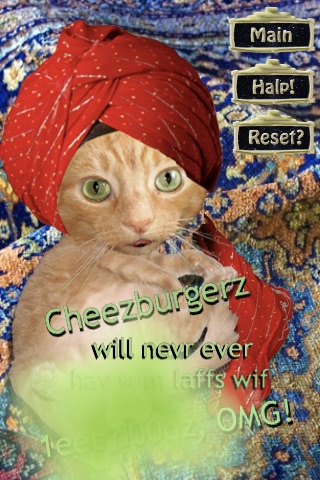 Swami Paws the LOLcat Fortune Teller screenshot-3