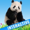 Animals’ world HD - Pictures of animals in high definitiion, sounds and interactive features