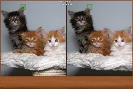 Game screenshot Cats Spot the Difference hack