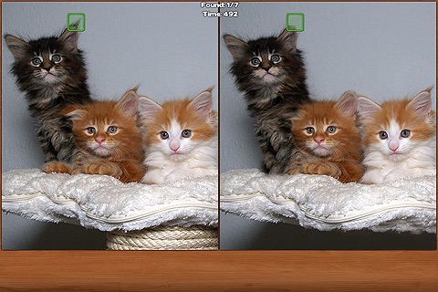 Cats Spot the Difference screenshot 3