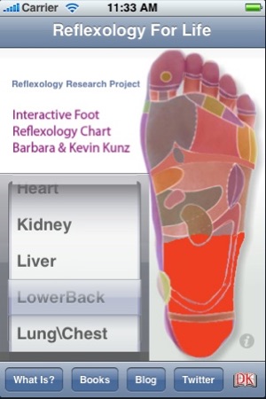 ReflexologyChart(圖2)-速報App