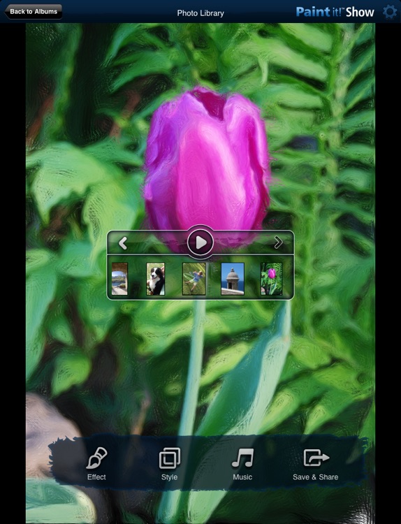 Corel Paint it! Show screenshot-4