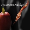 Poisonous Snakes