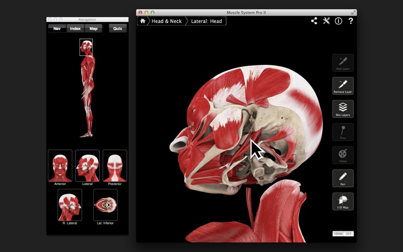 Screenshot #1 pour Muscle System Pro III