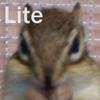 Pocket Chipmunk Lite