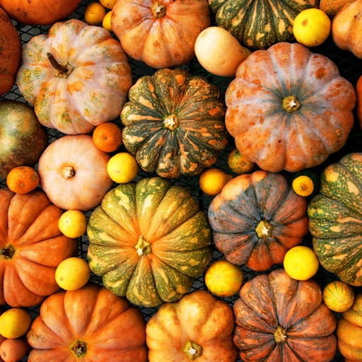 Pumpkins