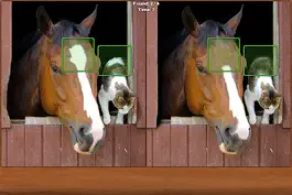 Game screenshot Horses Spot the Difference mod apk