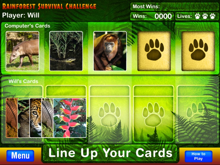 Rainforest Survival Challenge