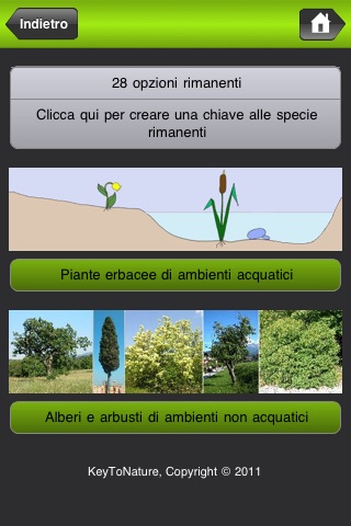 Le piante raccontano. Miti e leggende
