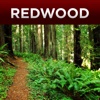 Redwood Park App