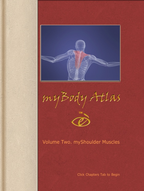 myShoulder Muscles screenshot-4