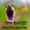 Top Rated Photography