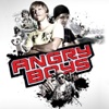 Angry Boys