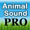 My Animal Sound (PRO)