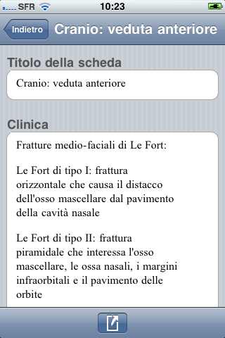 Netter Flashcards: Testa e Collo LITE screenshot 4