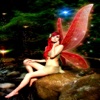 Fairy!