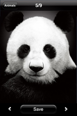 Best wallpapers & backgrounds screenshot-3