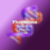 Phonosome