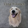 Dog Names, Find a pet name for your new pup