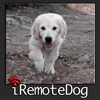 iRemoteDog - Control your dog with your iphone