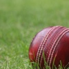 Cricket HD