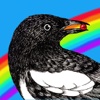 MCB - The Bird with the Rainbow Tail HD