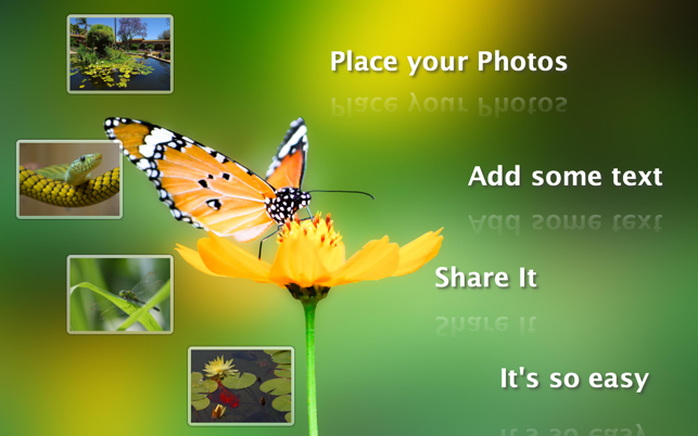 Photo Collage Lite(圖5)-速報App