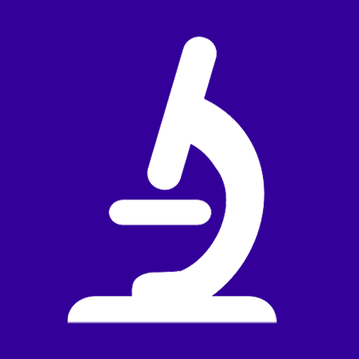 LogSat LLC