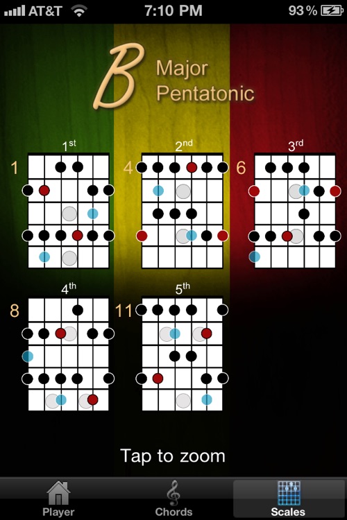 Guitar Jam Tracks Reggae by Ninebuzz Software LLC