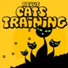 About Cats Training