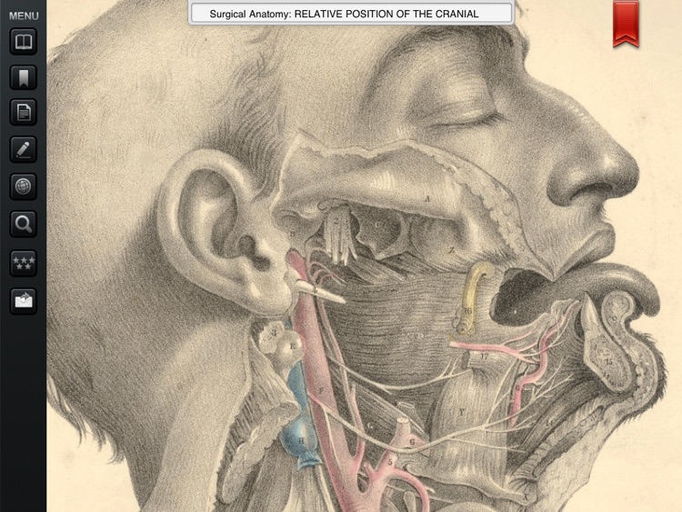 Surgical Anatomy - Student Edition screenshot-4