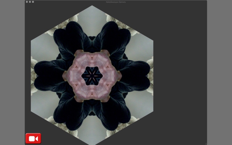 Kaleidoscope Camera iPhone screenshot