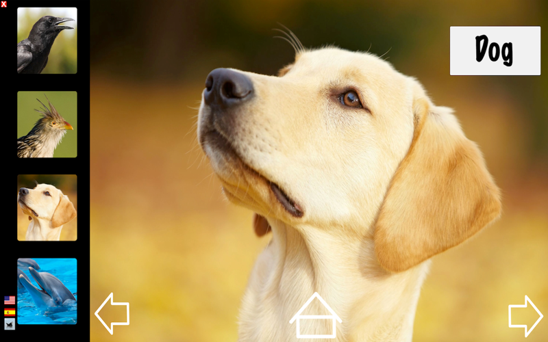 Let's Hear the Animals! (Animal Sounds) HD thumbnail 1